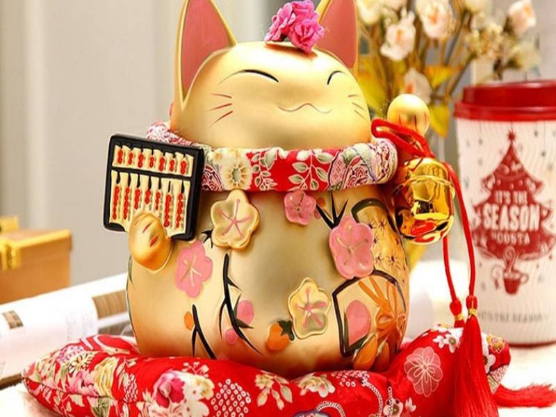 Mèo may mắn được nhiều người ưa chuộng hiện nay