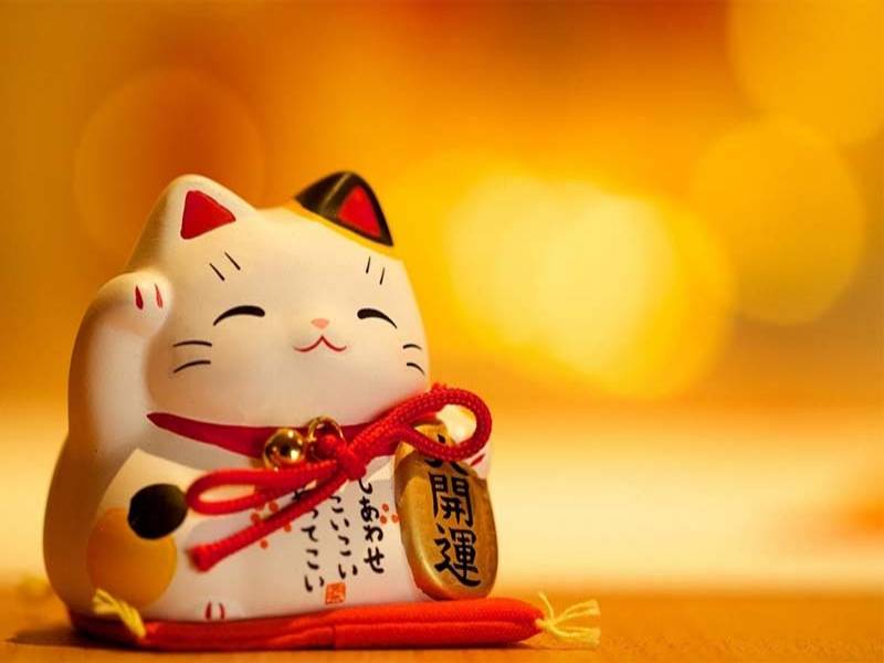 Mèo vẫy chân phải là biểu tượng của phú quý, tiền tài và may mắn