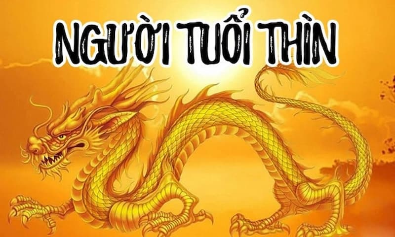 Các năm hạn của tuổi Thìn