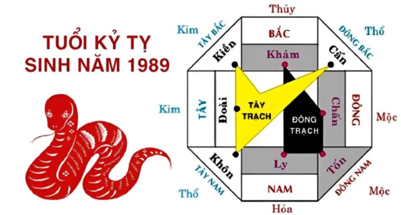 Hướng xây nhà phù hợp với người sinh năm Kỷ Tỵ 1989