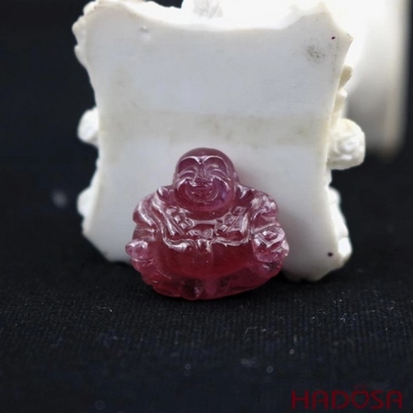 HADOSA là một thương hiệu uy tín với nhiều năm kinh nghiệm