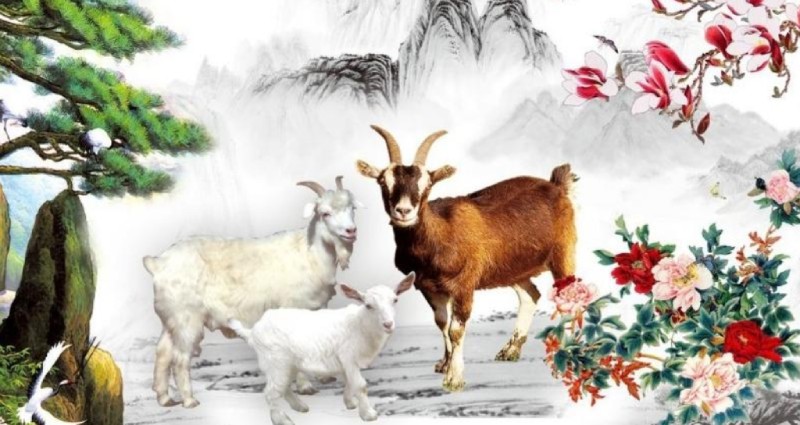 Những người tuổi Quý Mùi 2003 thuộc mệnh gì?