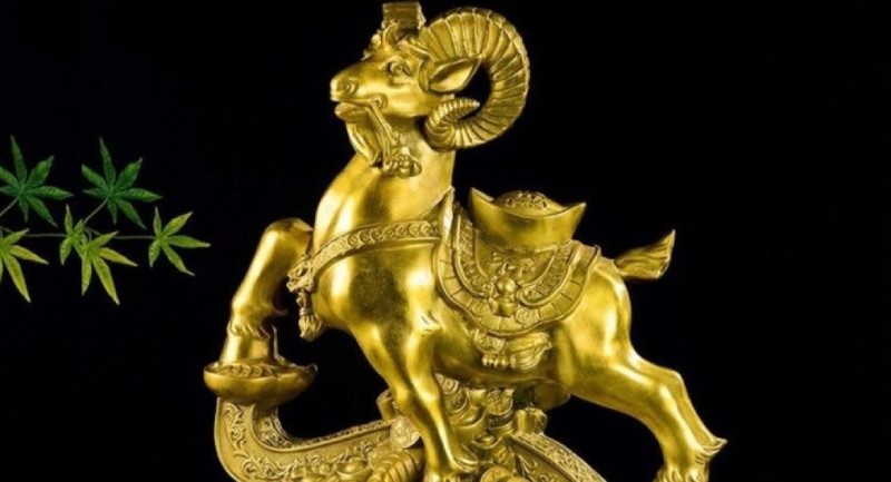 Người sinh năm Quý Mùi 2003 hợp tuổi nào?