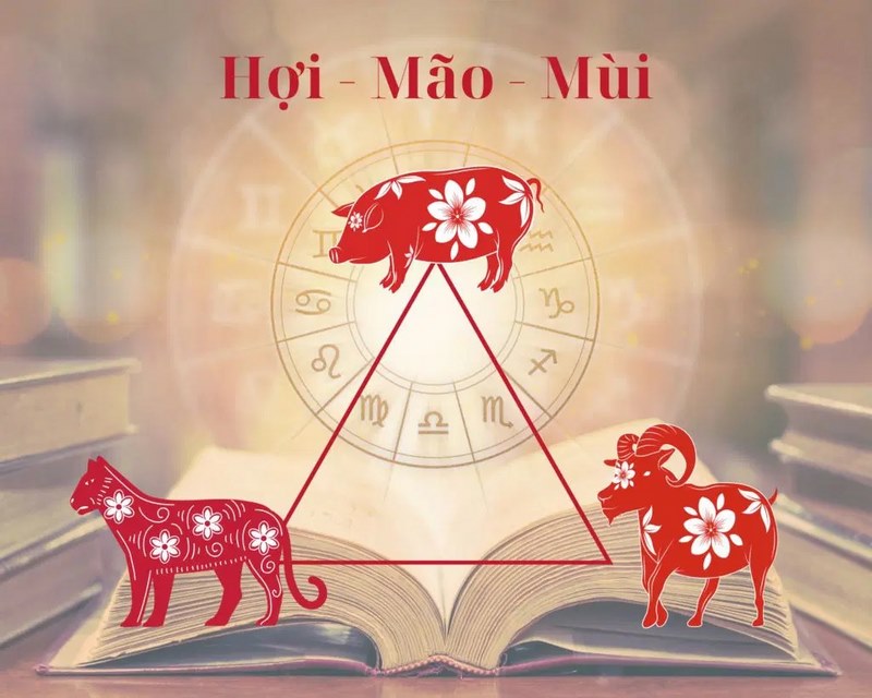 Sự kết hợp hài hòa của bộ ba tam hợp