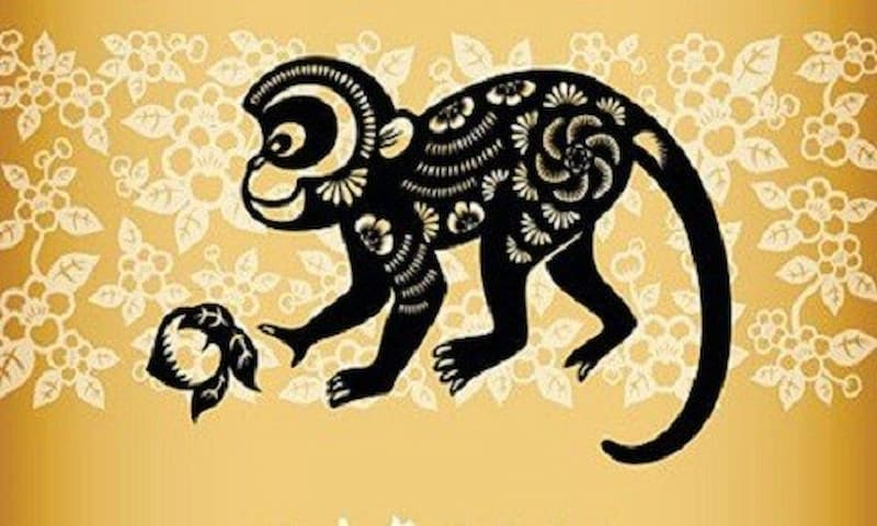 Con đường sự nghiệp của người sinh năm Giáp Thân 2004