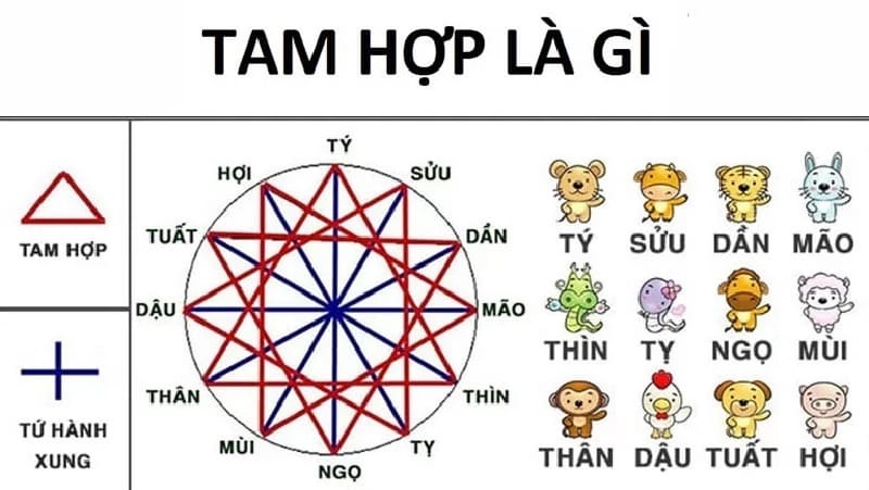 Tam Hợp Tứ Hành Xung là gì?