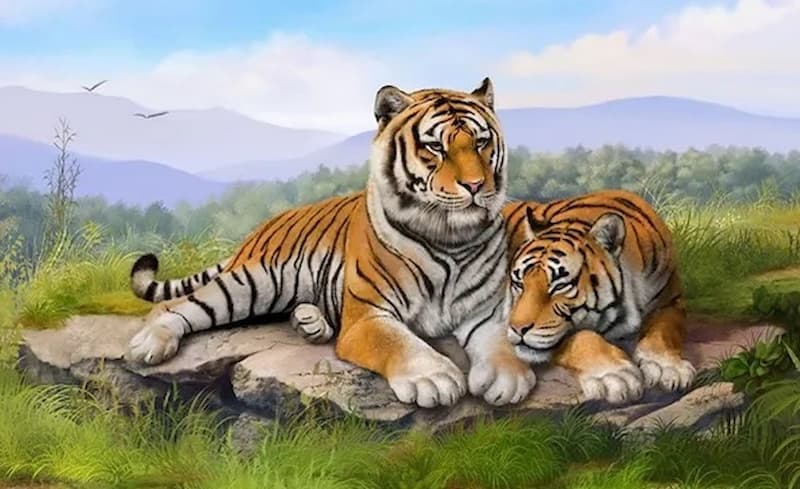 Không phải ai cũng phù hợp với việc treo tranh