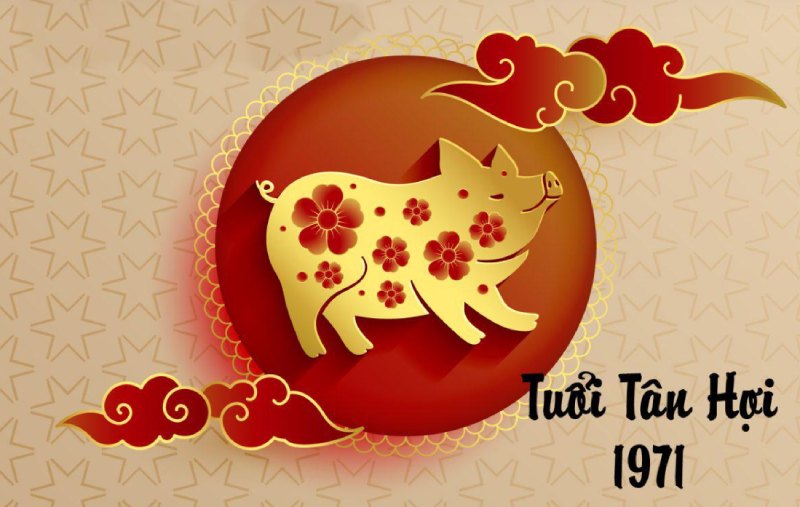 Luận giải chi tiết tử vi tuổi Hợi 1971