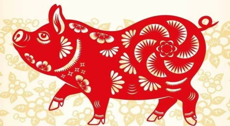 Tử vi tuổi Hợi 1971 năm 2024 có tài chính ổn định