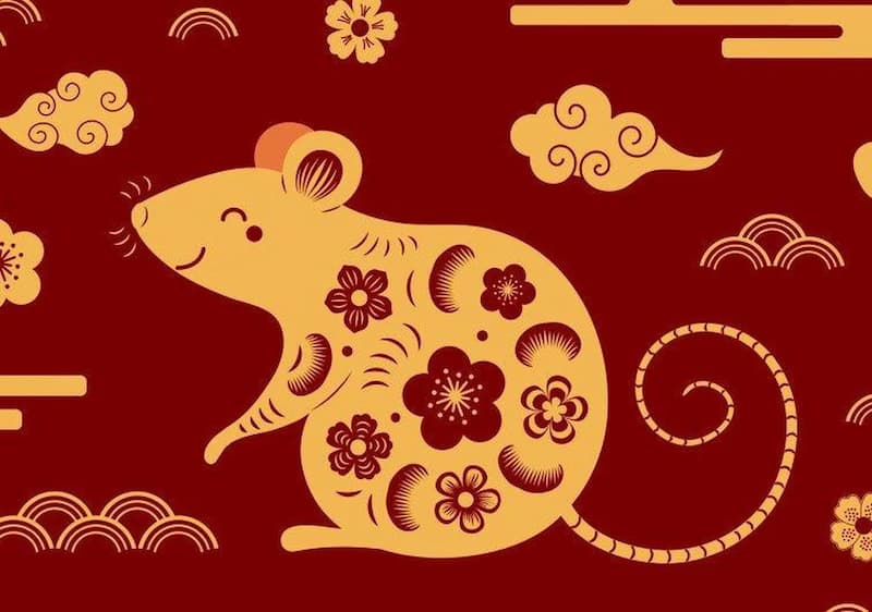 Người tuổi Tý thường có khả năng kiếm tiền
