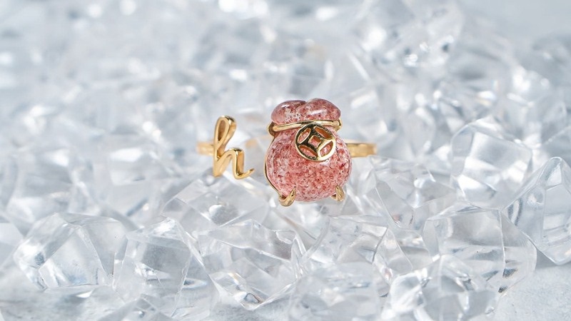 Cách lựa chọn và mua túi hợp mệnh