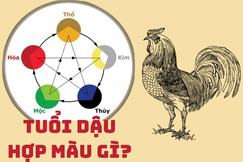 Tuổi Dậu hợp với các màu sắc năng động