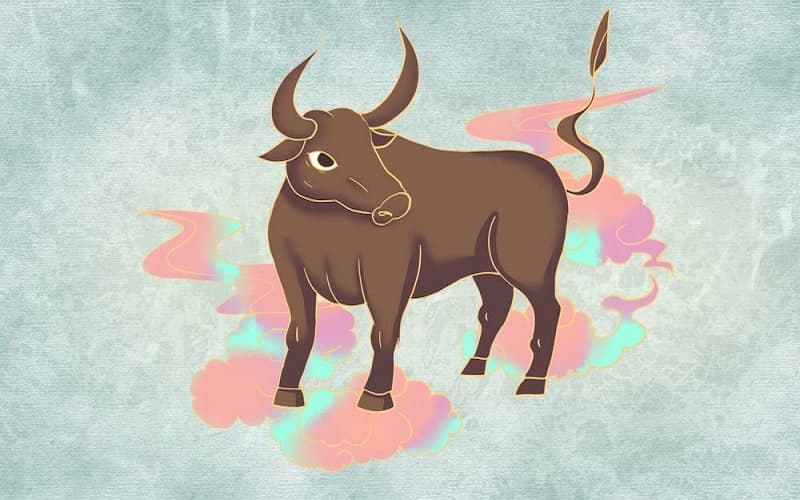 Tuổi Sửu hợp làm ăn và kết hôn với ai?