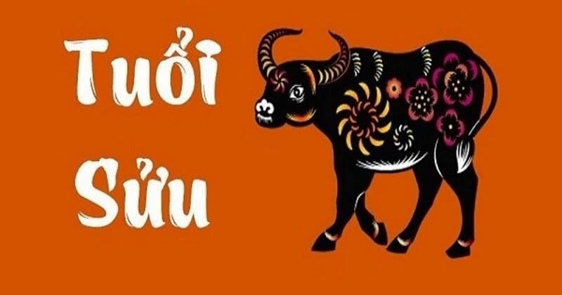 Tuổi sửu là tuổi gì?