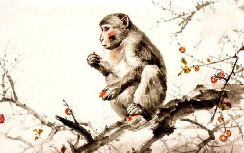 Đặc điểm của người tuổi Thân