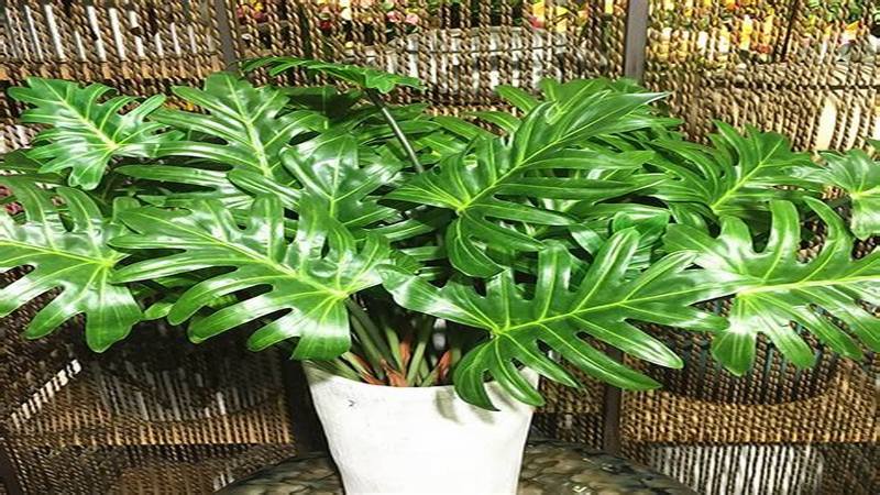 Tuổi Canh Thân phù hợp với mệnh Mộc và mệnh Thủy