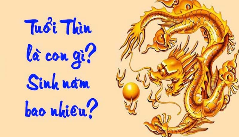 Những thông tin cơ bản về tử vi tuổi Thìn có thể bạn chưa biết