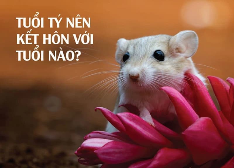 Người tuổi Tý thường hợp với người tuổi Sửu