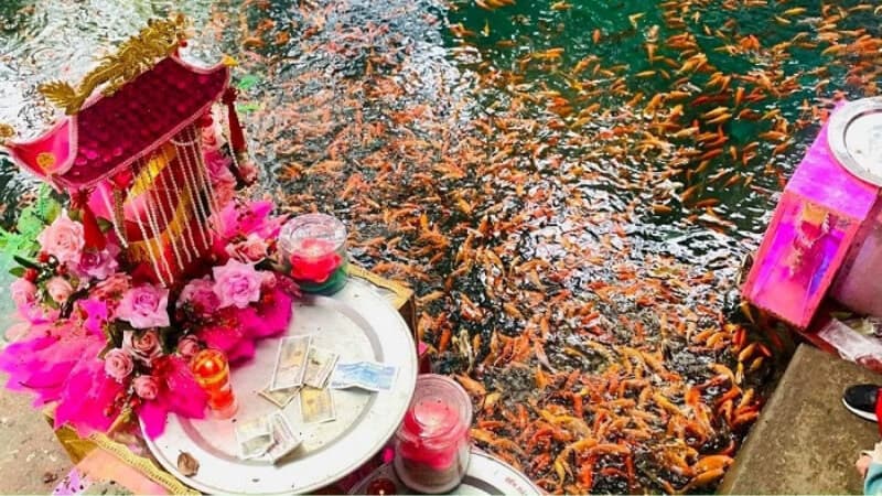 Những lưu ý khi làm lễ và đọc văn khấn cô Chín Giếng