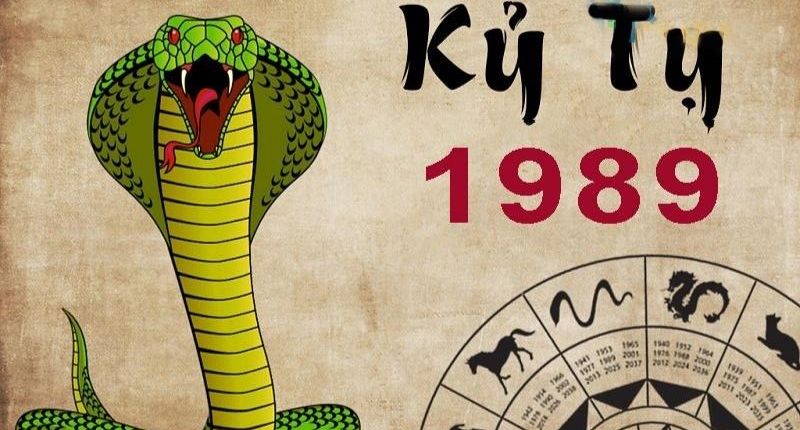 Xem tử vi tuổi tỵ năm 2024 cho người sinh năm 1989