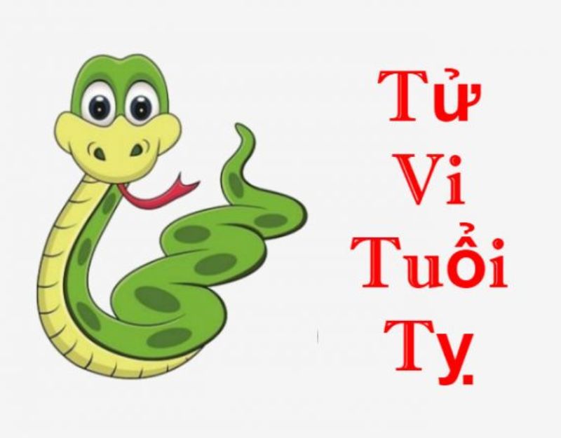 Xem tử vi tuổi tỵ năm 2024 cho người sinh năm 2013