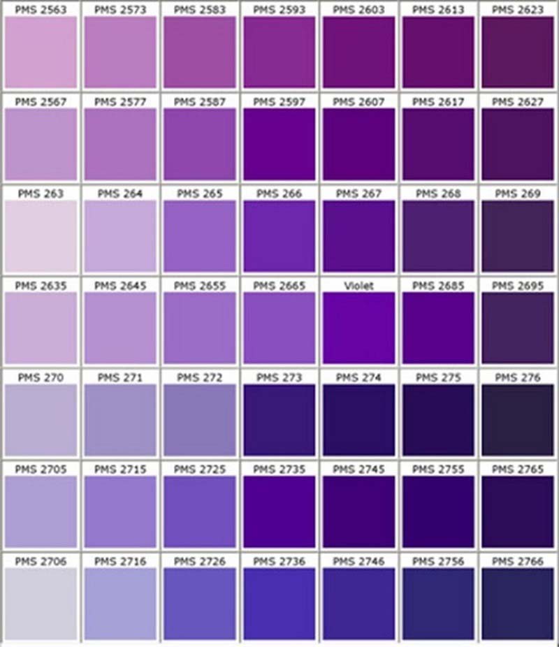 Đôi nét thông tin về màu tím có thể bạn chưa biết