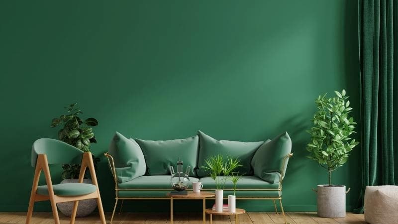 Màu xanh lá cây đại diện cho điều gì?
