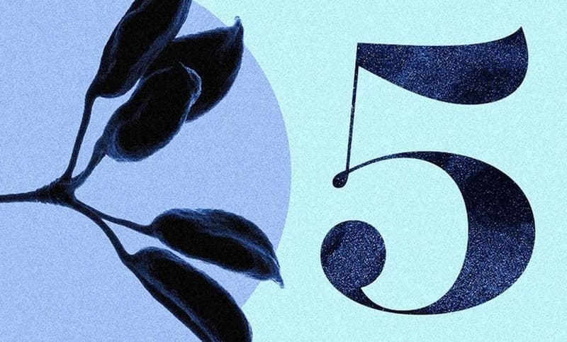 Số 5 là biểu tượng cho sự tự do và phiêu lưu