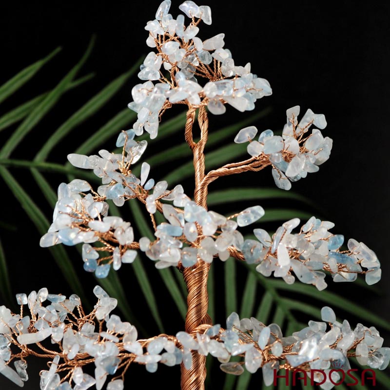 Cây tài lộc Aquamarine 12*7*22cm
