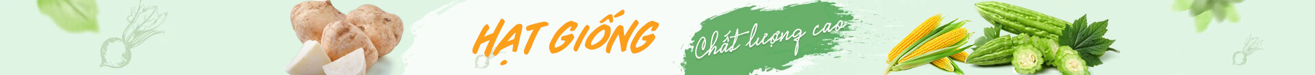 Banner header