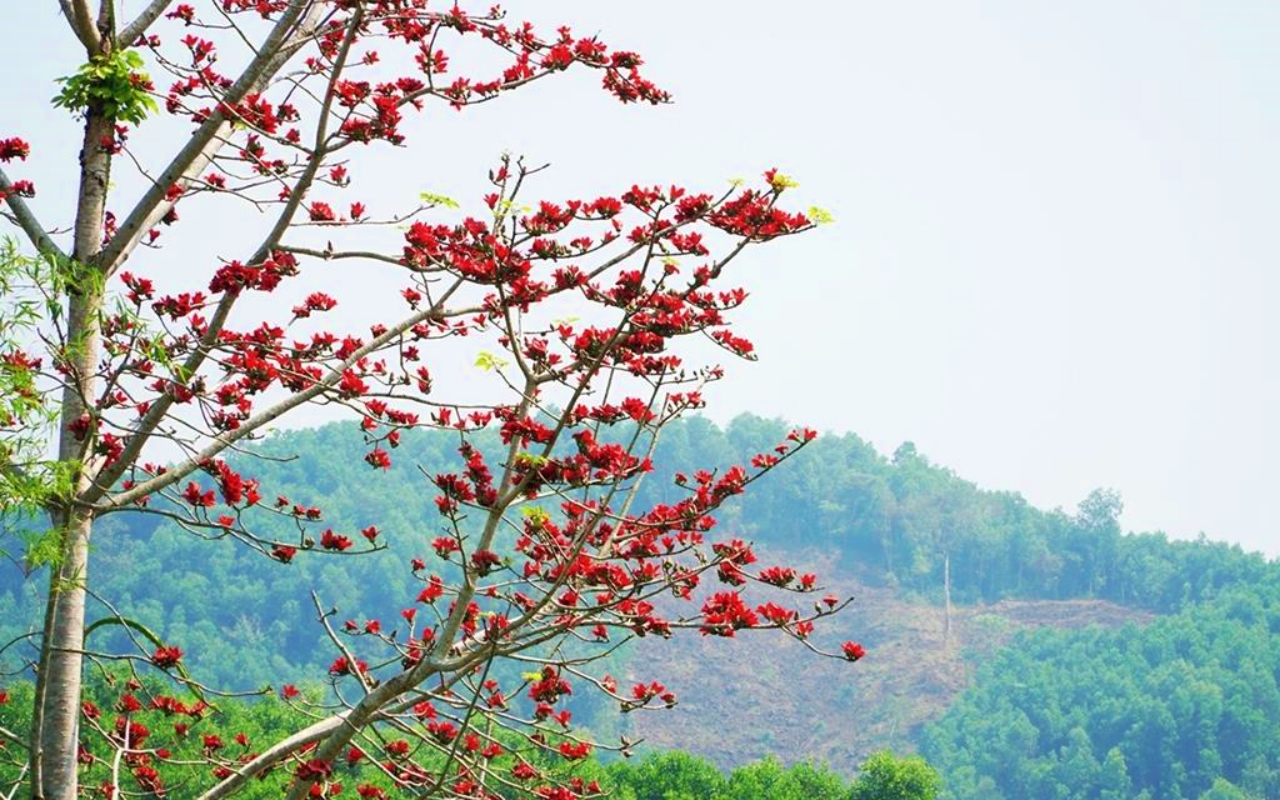 tour-ha-giang