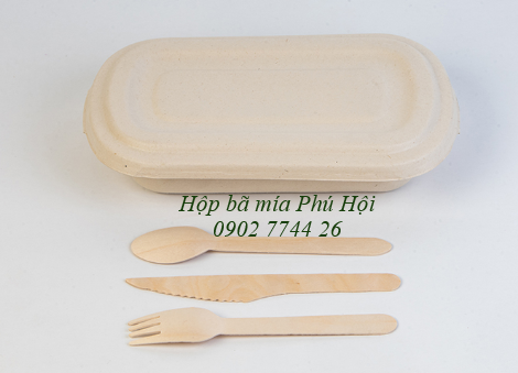 Hộp bã mía 1 ngăn kèm nắp bã mía 700ml tại quận 3 TP HCM