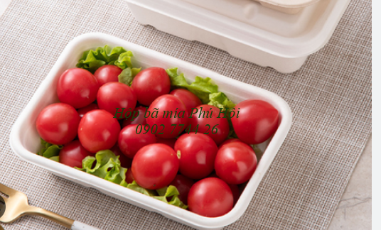 Hộp bã mía 1 ngăn kèm nắp bã mía 700ml tại quận 3 TP HCM