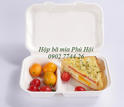 Hộp bã mía 2 ngăn nắp liền 800ml tại Tp HCM