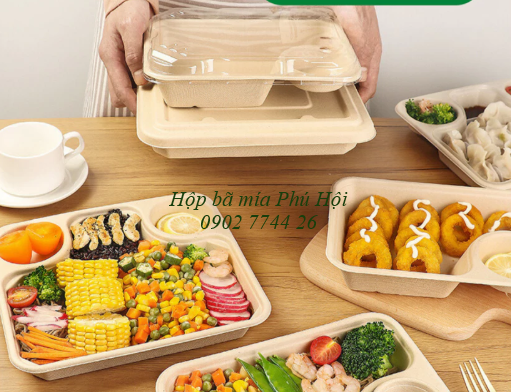 Hộp bã mía 3 ngăn nắp PET tại TP HCM