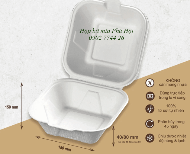 Hộp bã mía vuông đựng hamburger tại TPHCM