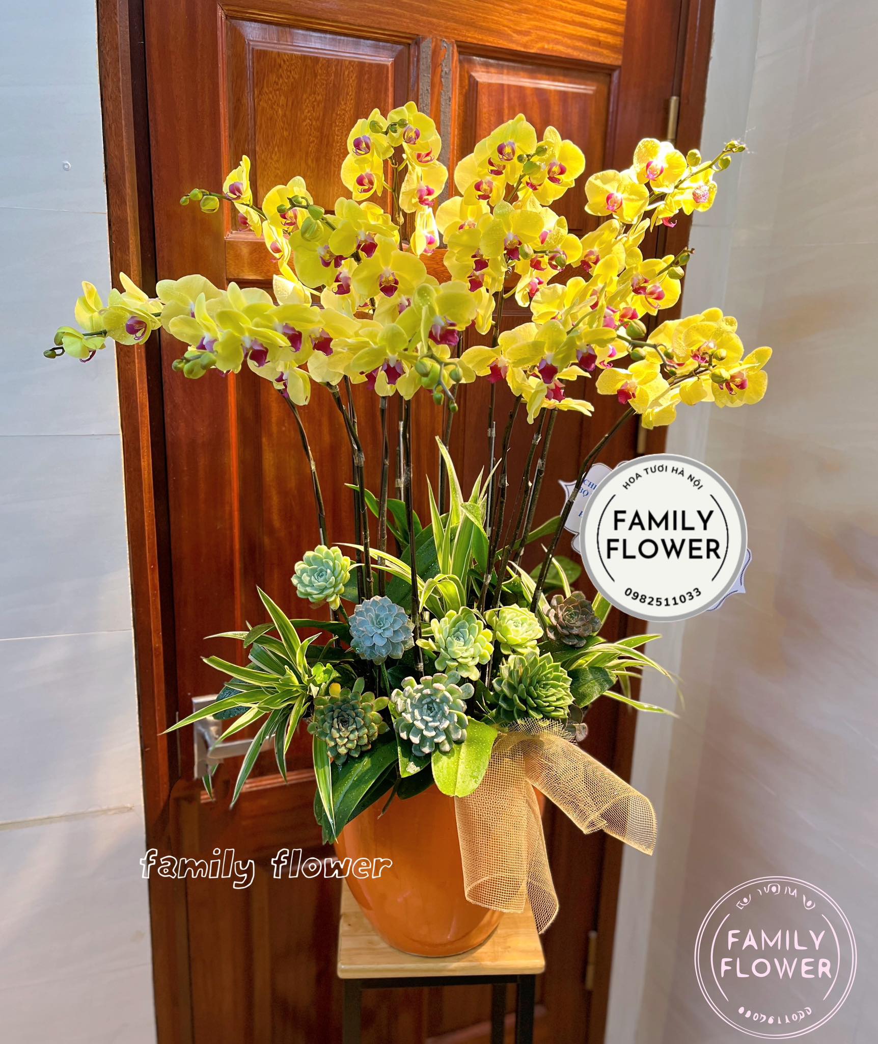 Chậu lan hồ điệp tặng sếp quận Hoàn Kiếm Hà Nội ! Điện hoa Hà Nội! Hoa tươi Hà Nội ! Mua hoa online tại Hà Nội