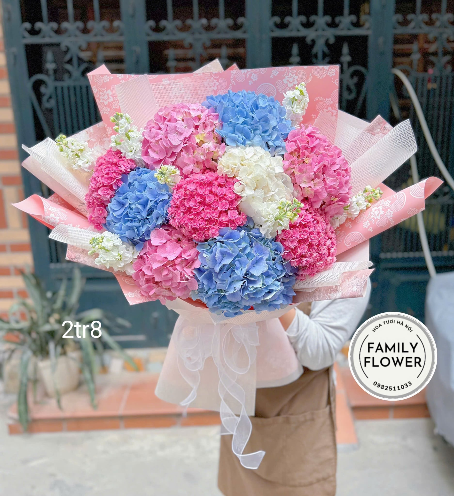 Những mẫu hoa cẩm tú cầu cho ngày Quốc tế phụ nữ 8/3 tại Cầu giấy, Ba Đình Hà Nội ! Hoa cẩm tú cầu đẹp ! Mua hoa online Hà Nội