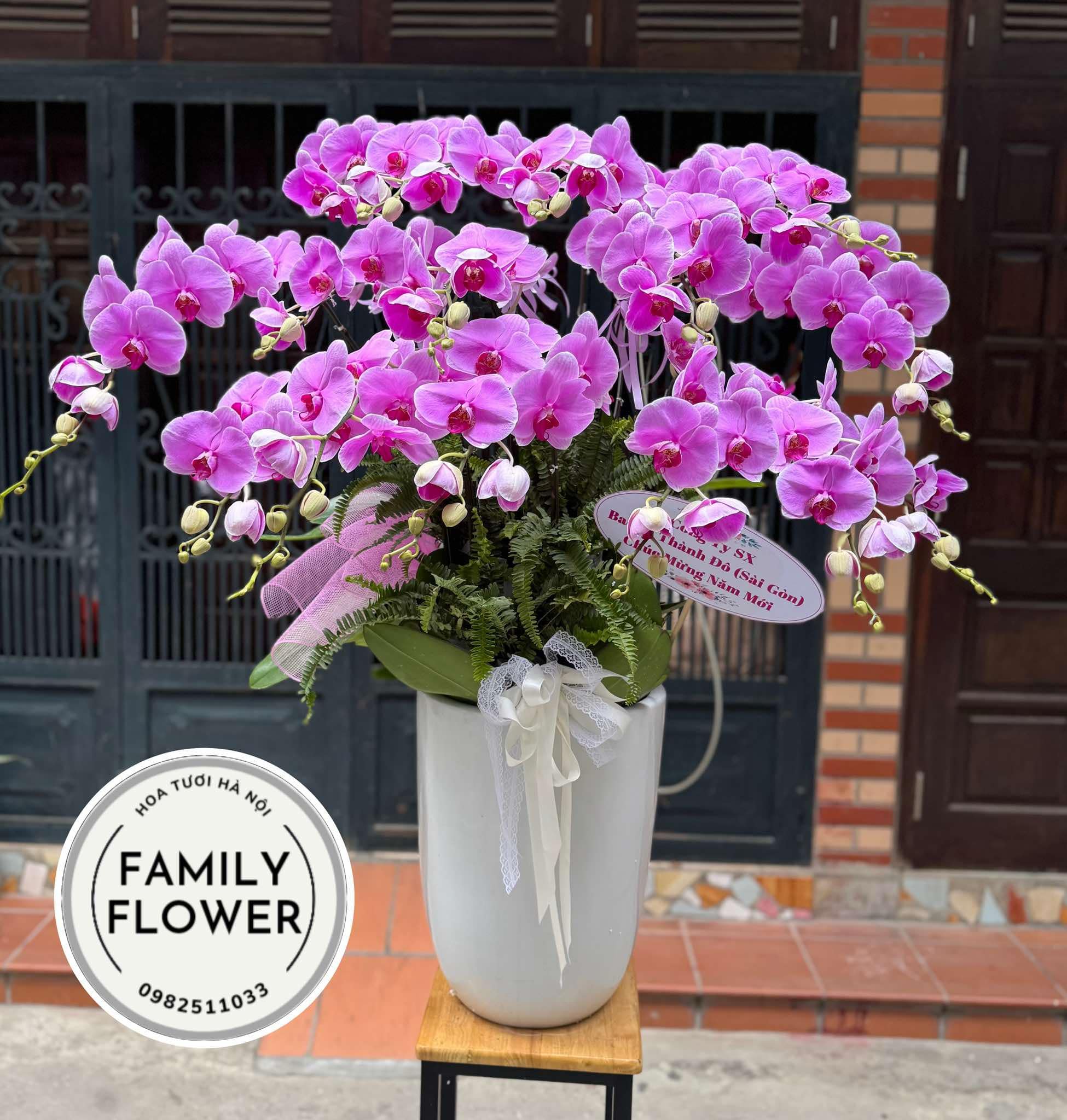 Chậu hoa lan hồ điệp tặng chúc mừng năm mới tại quận Ba Đình, Đống Đa Hà Nội ! Mua hoa tươi online tại Ba Đình Hà Nội