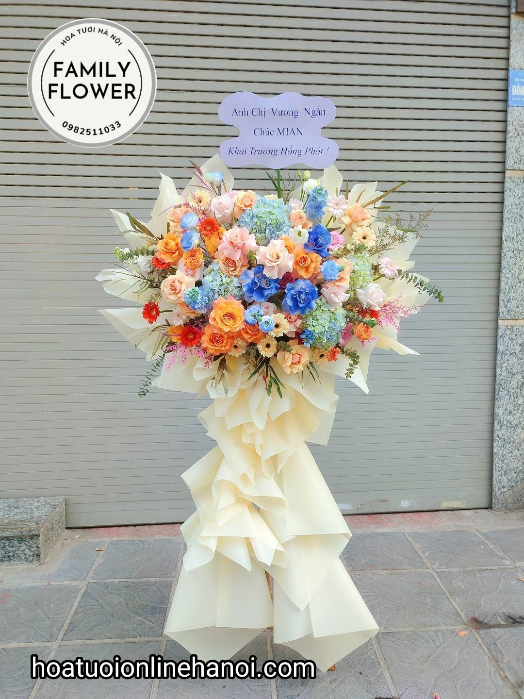 Cây hoa đỏ khai trương chúc mừng bạn bè, người thân, đối tác làm ăn tại BA ĐÌNH, ĐỐNG ĐA, Cầu Giấy, Hà Nội