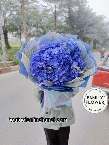 Bó hoa cẩm tú cầu tặng sinh nhật ở hà nội ! Hoa cẩm tú cầu tặng sinh nhật đẹp tại hà nội