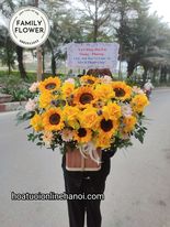 Hoa chúc mừng ! Lẵng hoa hướng dương tặng chúc mừng quận Ba Đình - Hà Nội