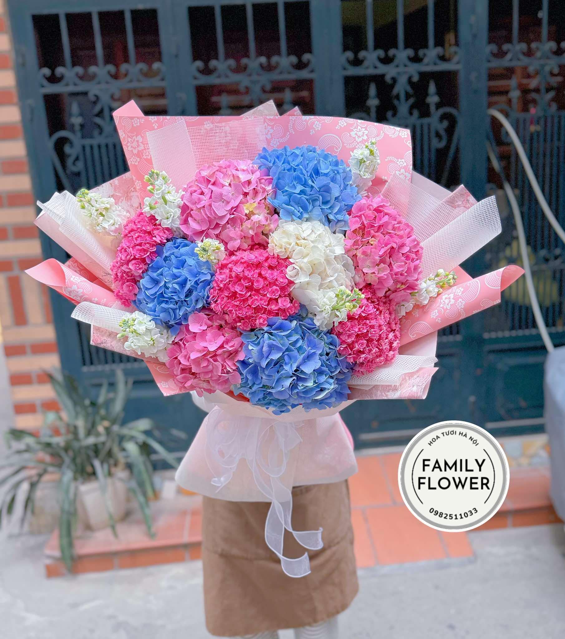 Bó hoa cẩm tú cầu mix màu tặng người yêu ở quận Ba Đình , Tây Hồ Hà Nội ! Hoa cẩm tú cầu