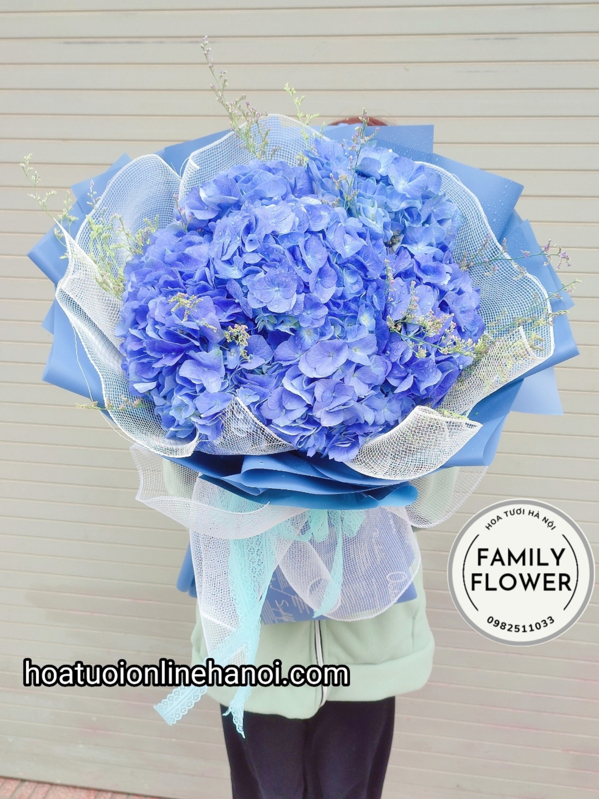 Bó hoa cẩm tú cầu tặng sinh nhật ở hà nội ! Hoa cẩm tú cầu tặng sinh nhật đẹp tại hà nội