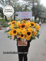 Hoa chúc mừng ! Lẵng hoa hướng dương tặng chúc mừng quận Ba Đình - Hà Nội