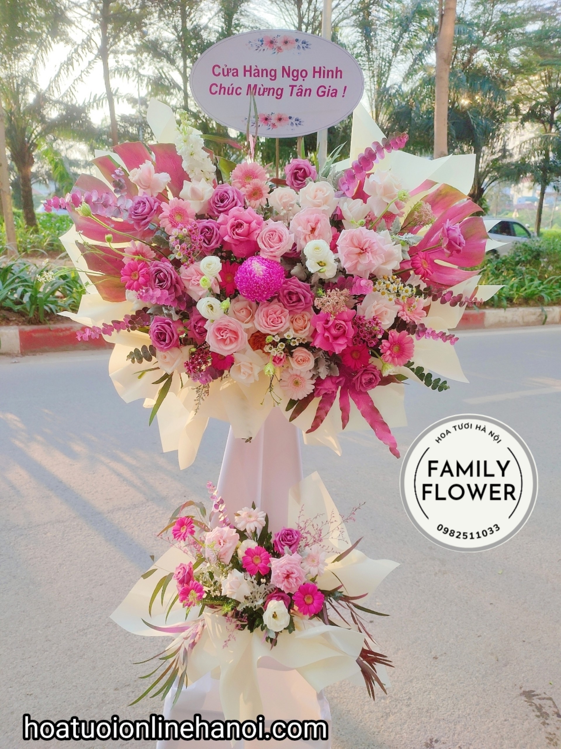 Cây hoa mừng tân gia, cây hoa chúc mừng tại Ba Đình