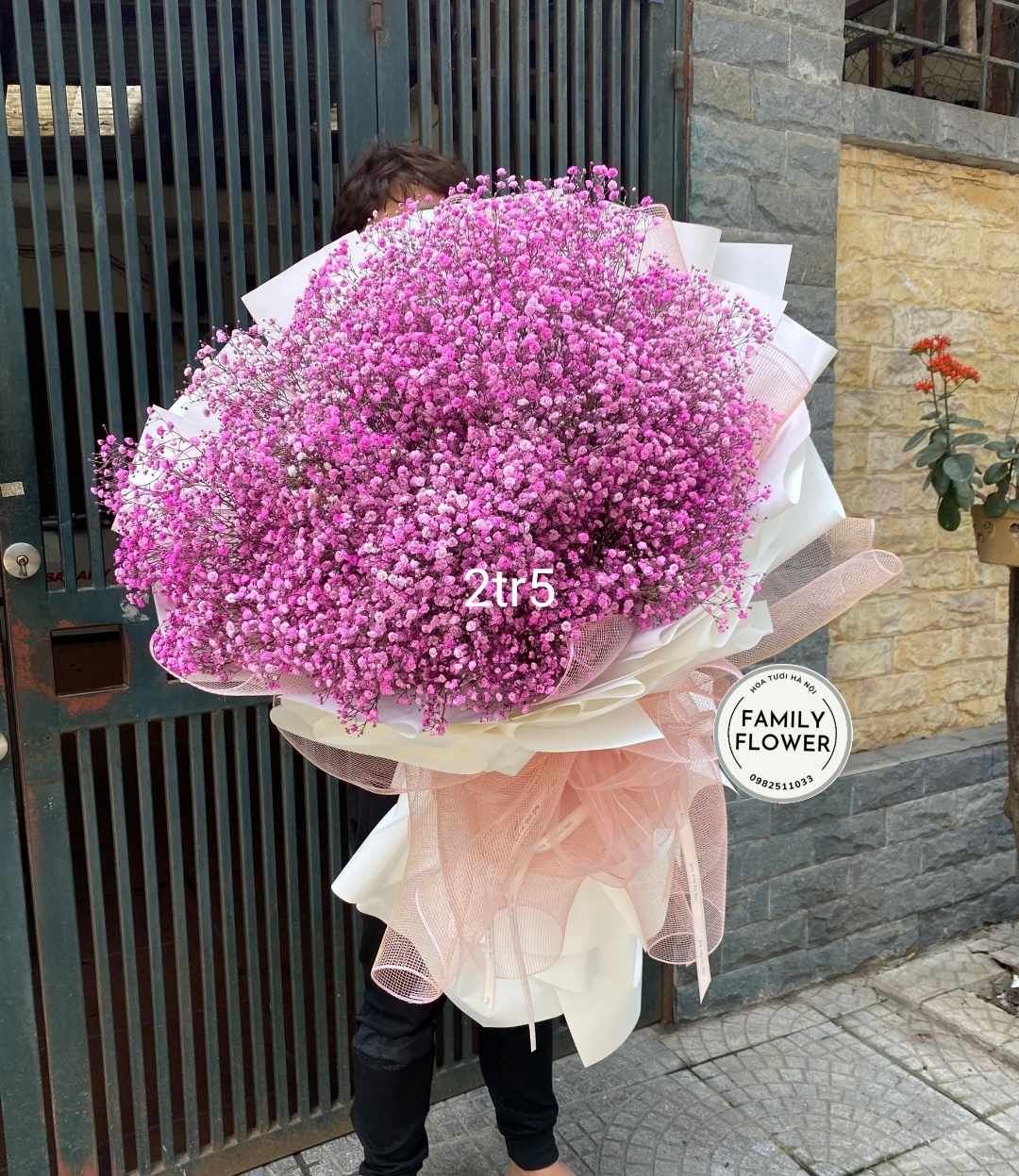 Hoa tươi Hà Nội - Các mẫu baby nhân ngày 8/3