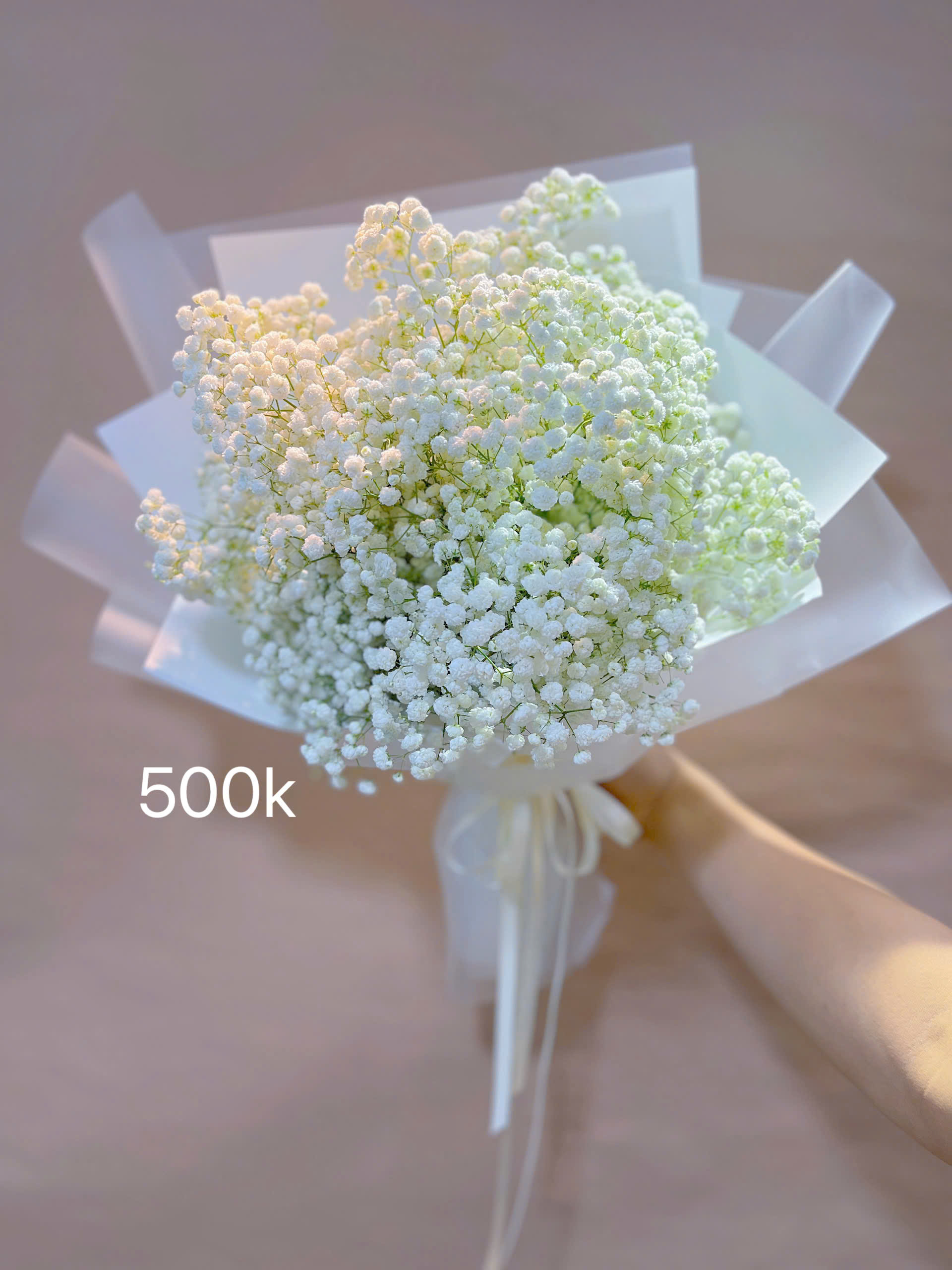 Các mẫu baby cực xinh nhân dịp 20/10, bạn có thể tham khảo qua một số mẫu nhé ! Hoa 20/10 tại Hà Nội ! Mua hoa online Hà Nội