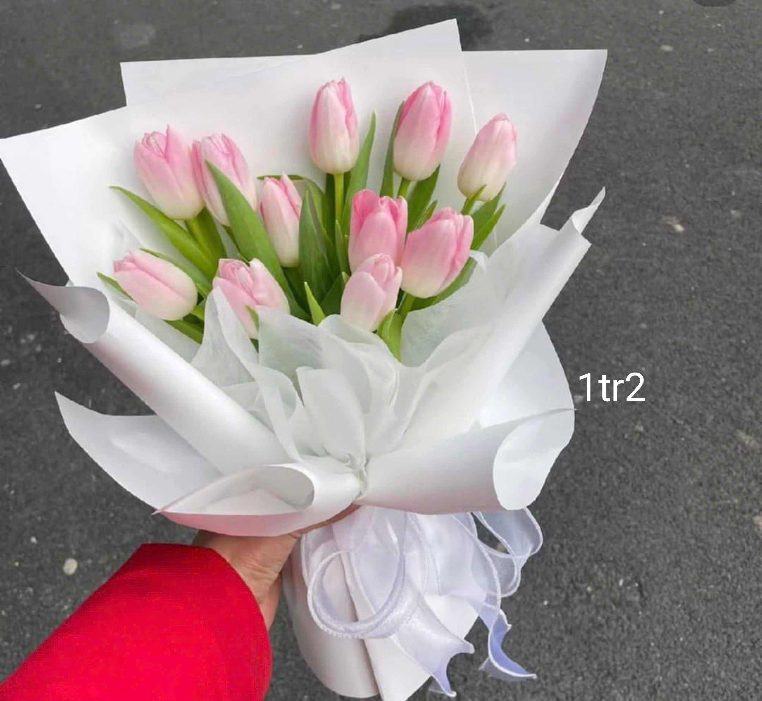 Tổng hợp những mẫu tulip siêu sinh tặng nhân dịp 20/10 tại Hà Nội, đừng nên bỏ lỡ nhé ! Hoa 20/10 đẹp tại Hà Nội ! Mua hoa online tại Hà Nội