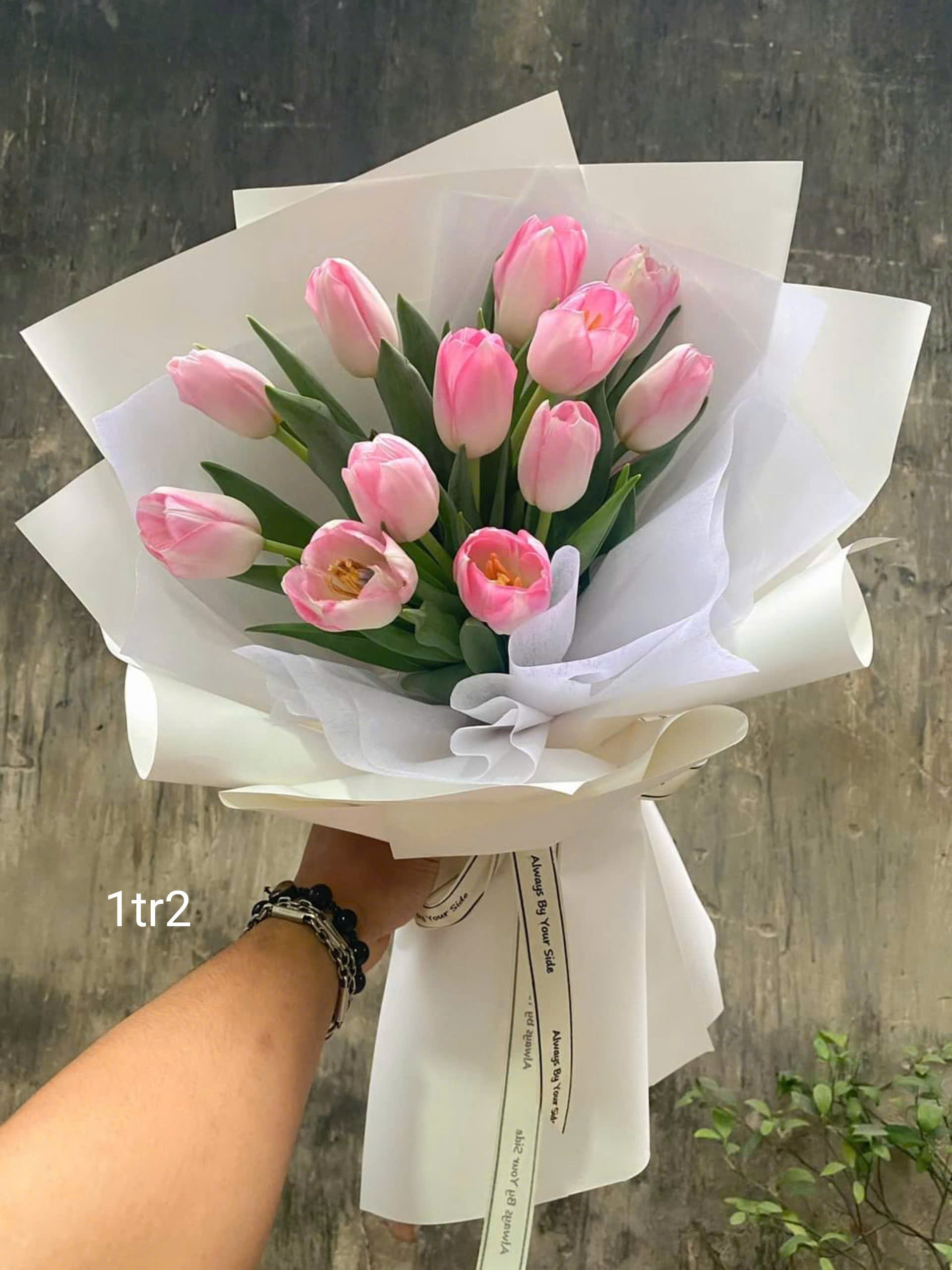 Các mẫu hoa tulip nhân dịp 8/3 tặng mẹ, vợ, người yêu ,... tại Hà Nội ! Hoa tulip đẹp Hà Nội ! Mua hoa online tại Hà Nội nhà family Flower
